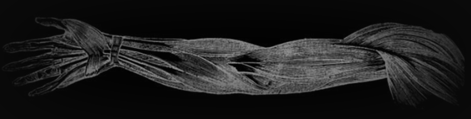 Rebuilt Bodywork Co.